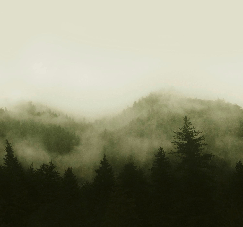 Misty Landscape Green Bespoke Mural