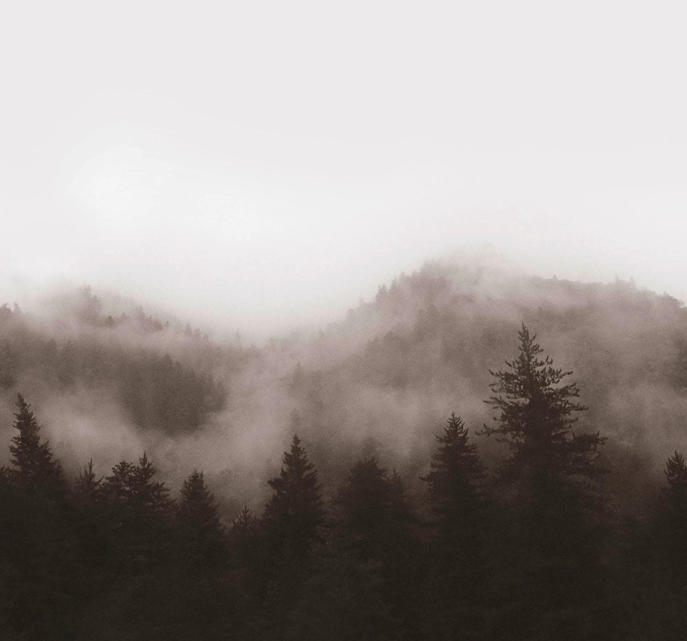 Misty Landscape Neutral Bespoke Mural