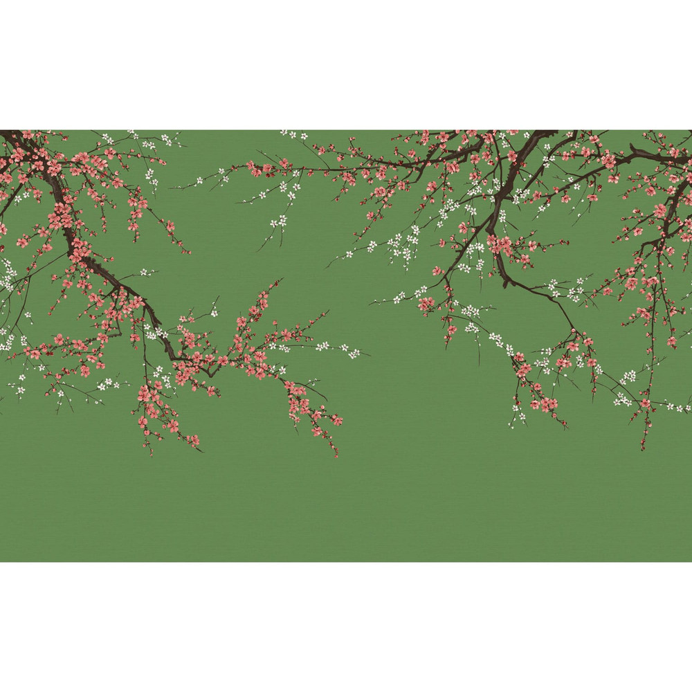 Sakura Ecuador Bespoke Mural