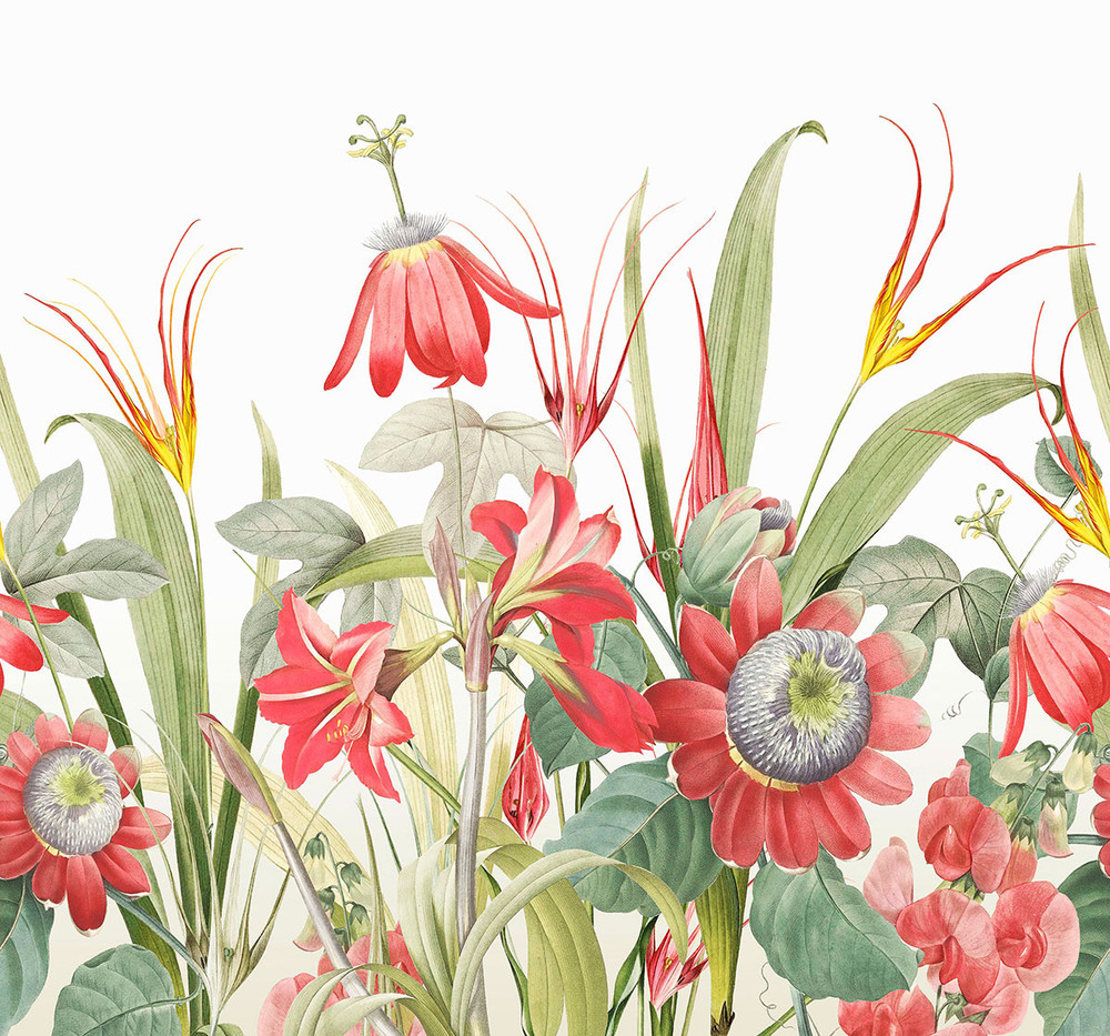 Flora Red Bespoke Mural