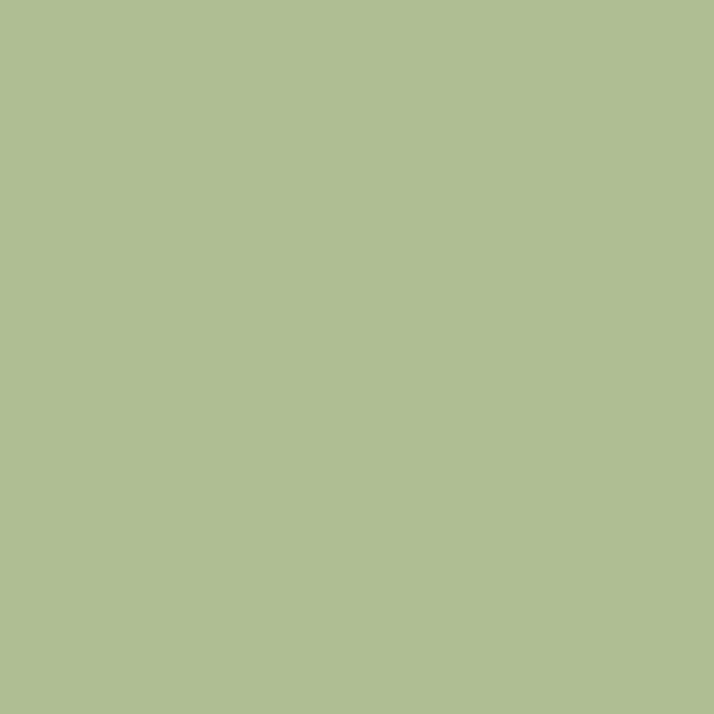 Joules Swanton Novas Paint Joules Swanton Novas Paint