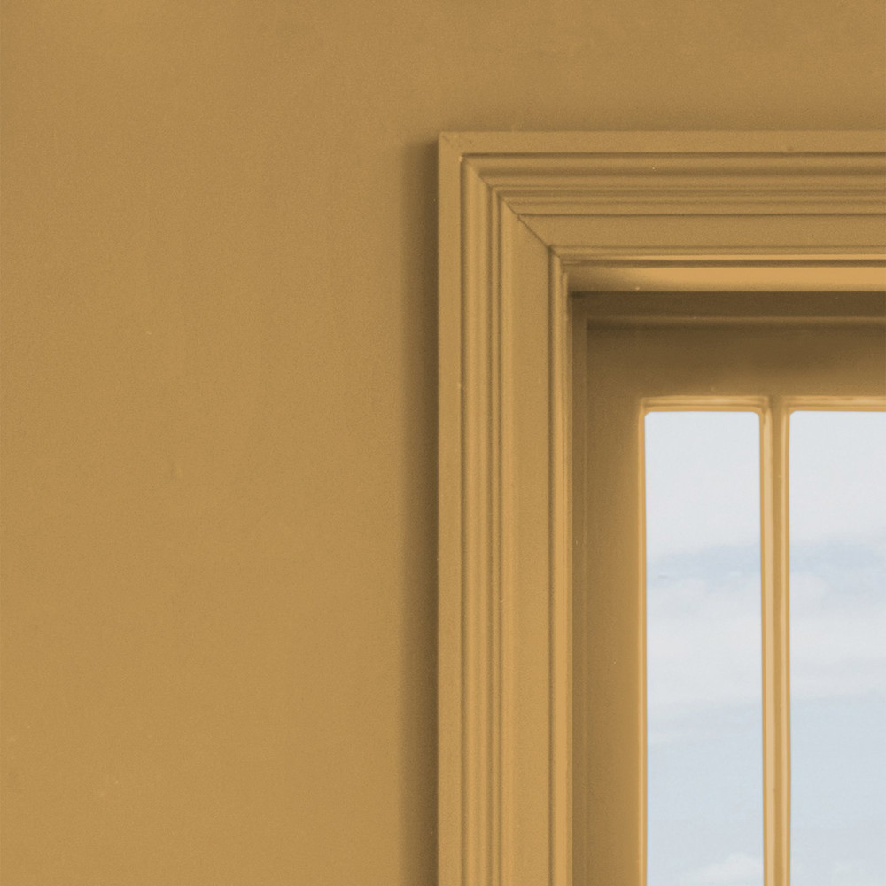 Next Warm Yellow Paint - 125054_DETAIL_WARM YELLOW_02.jpg