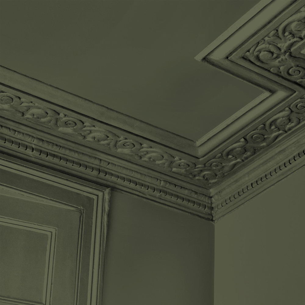 Abigail Ahern Desert Saltbush Paint - 131458_DETAIL_DESERT SALTBUSH_01.jpg