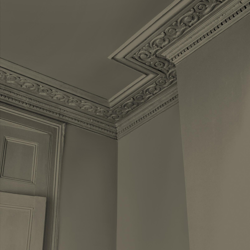 Abigail Ahern Wild Millet Paint - 131481_DETAIL_WILD MILLET_04.jpg