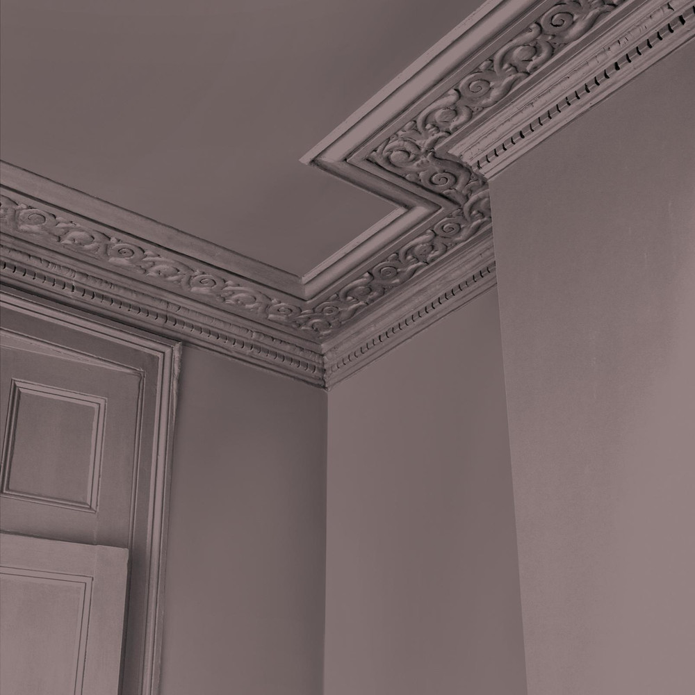 Abigail Ahern Sequoia Tree Paint - 131482_DETAIL_SEQUOIA TREE_04.jpg