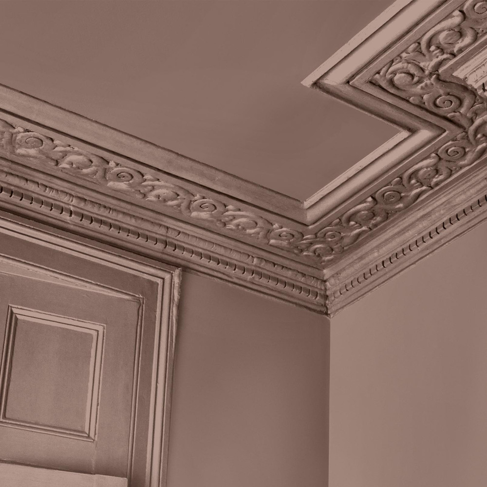 Abigail Ahern Sequoia Tree Paint - 131482_DETAIL_SEQUOIA TREE_01.jpg