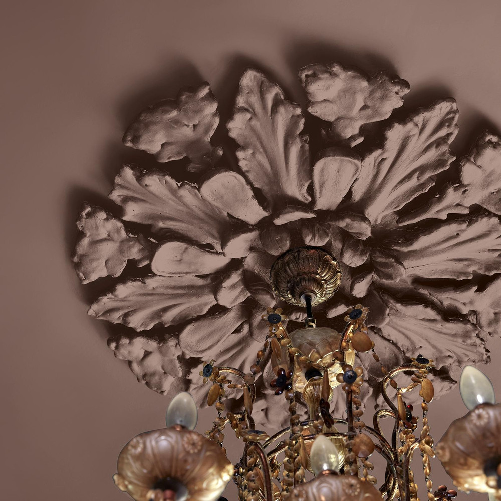 Abigail Ahern Sequoia Tree Paint - 131482_DETAIL_SEQUOIA TREE_02.jpg