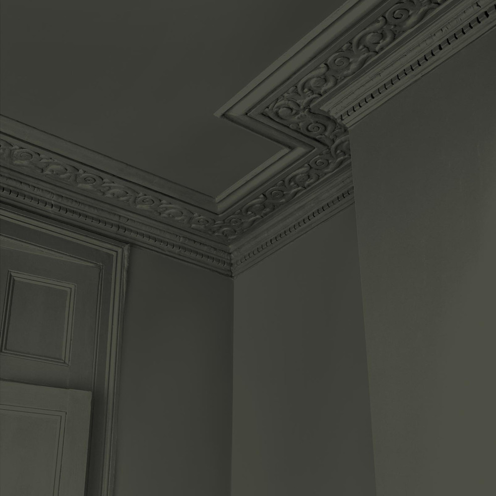 Abigail Ahern Sea Botanic Paint - 131484_DETAIL_SEA BOTANIC_04.jpg