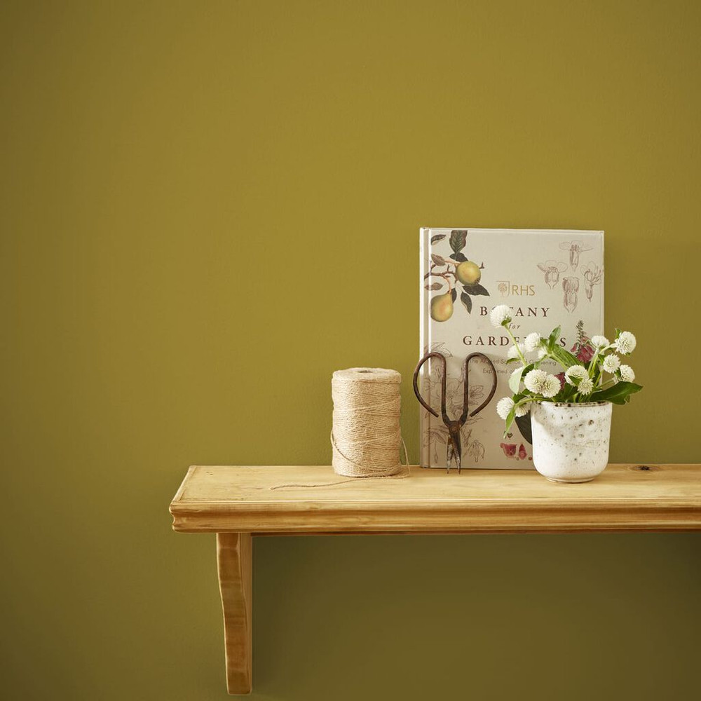 Joules Day Trip Paint