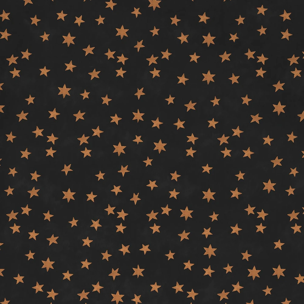 Rockett St George Midnight Skies Noir Wallpaper - 149620_ROOMSET_MIDNIGHT SKIES NOIR_04.jpg