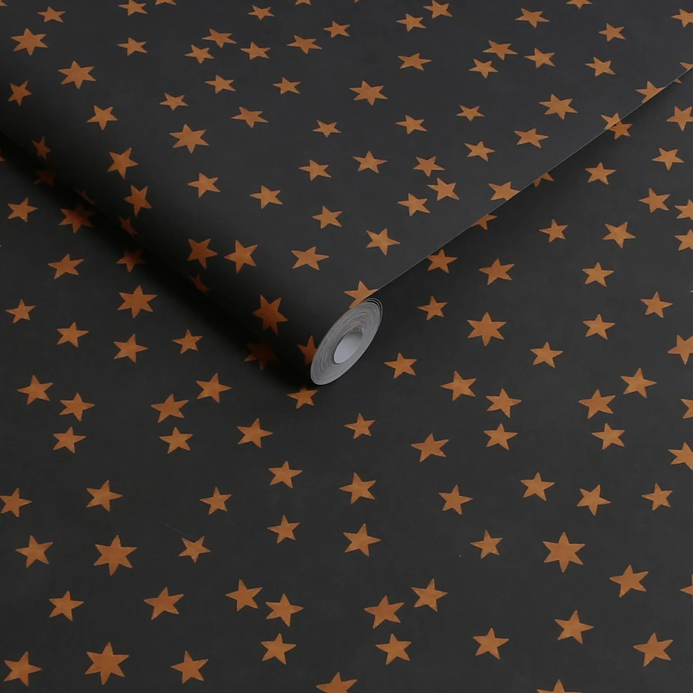 Rockett St George Midnight Skies Noir Wallpaper - 149620_ROLLSHOT_MIDNIGHT SKIES NOIR_01.jpg