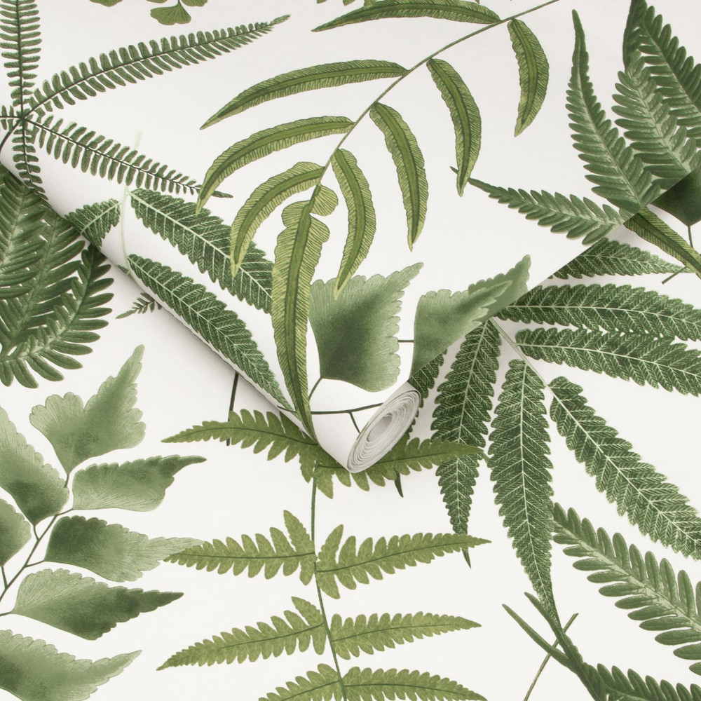 Midsummer Fern Lush Wallpaper - 107880_ROLLSHOT_MIDSUMMER FERN LUSH_02.jpg