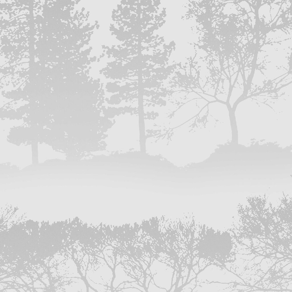 Misty Morning Grey Wallpaper