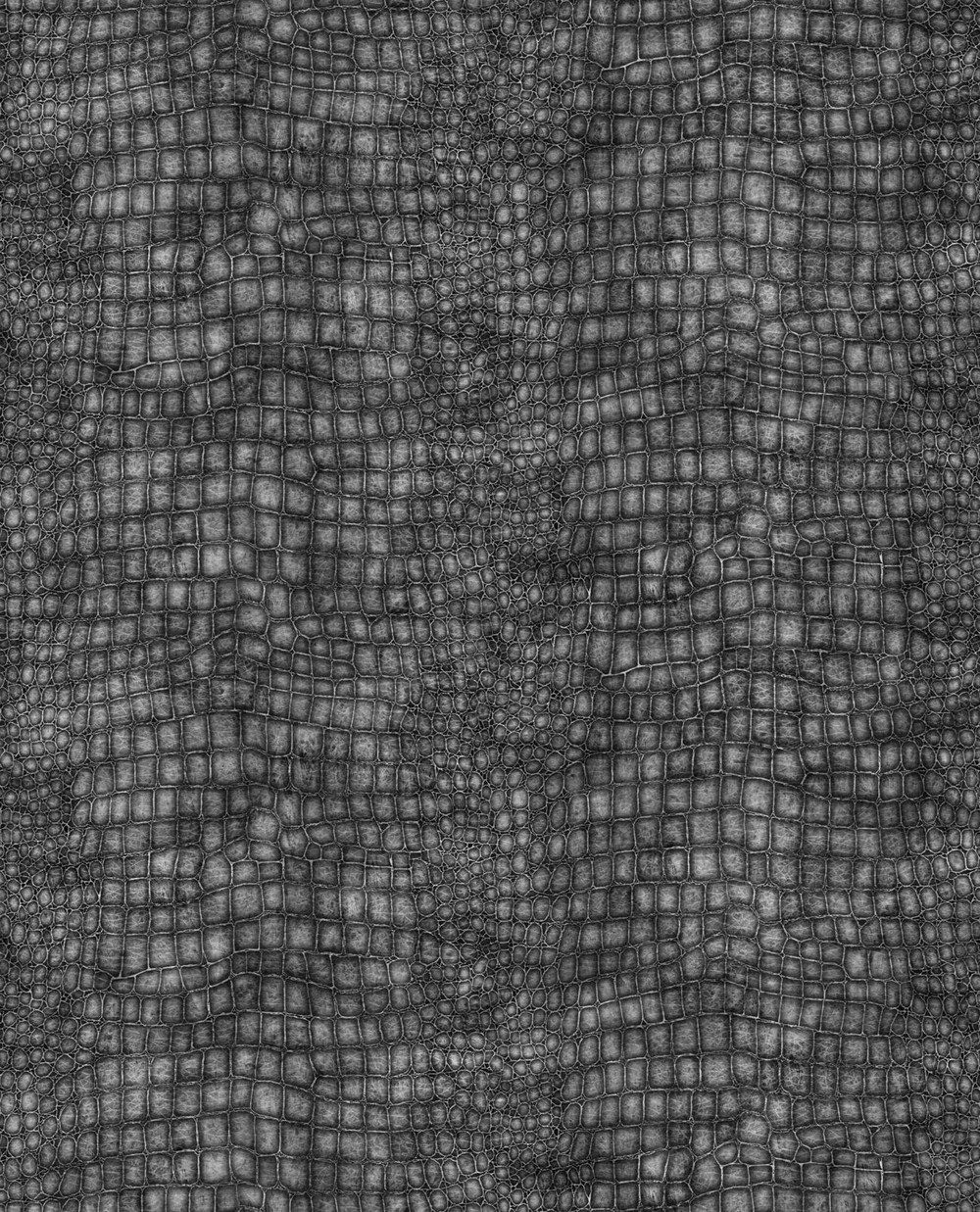 Crocodile Black Wallpaper - 32-659_TILE_01.jpg