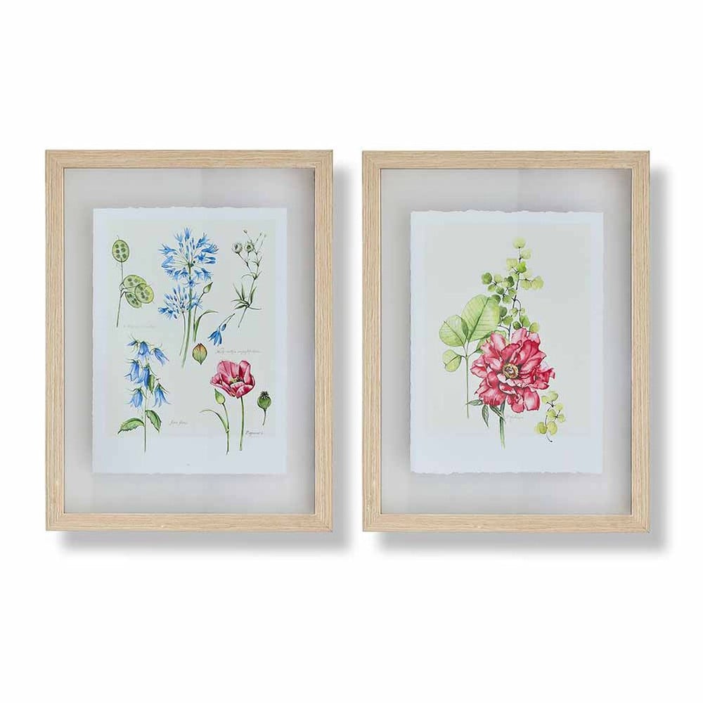 Fleur Studies Framed Prints Fleur Studies Framed Prints