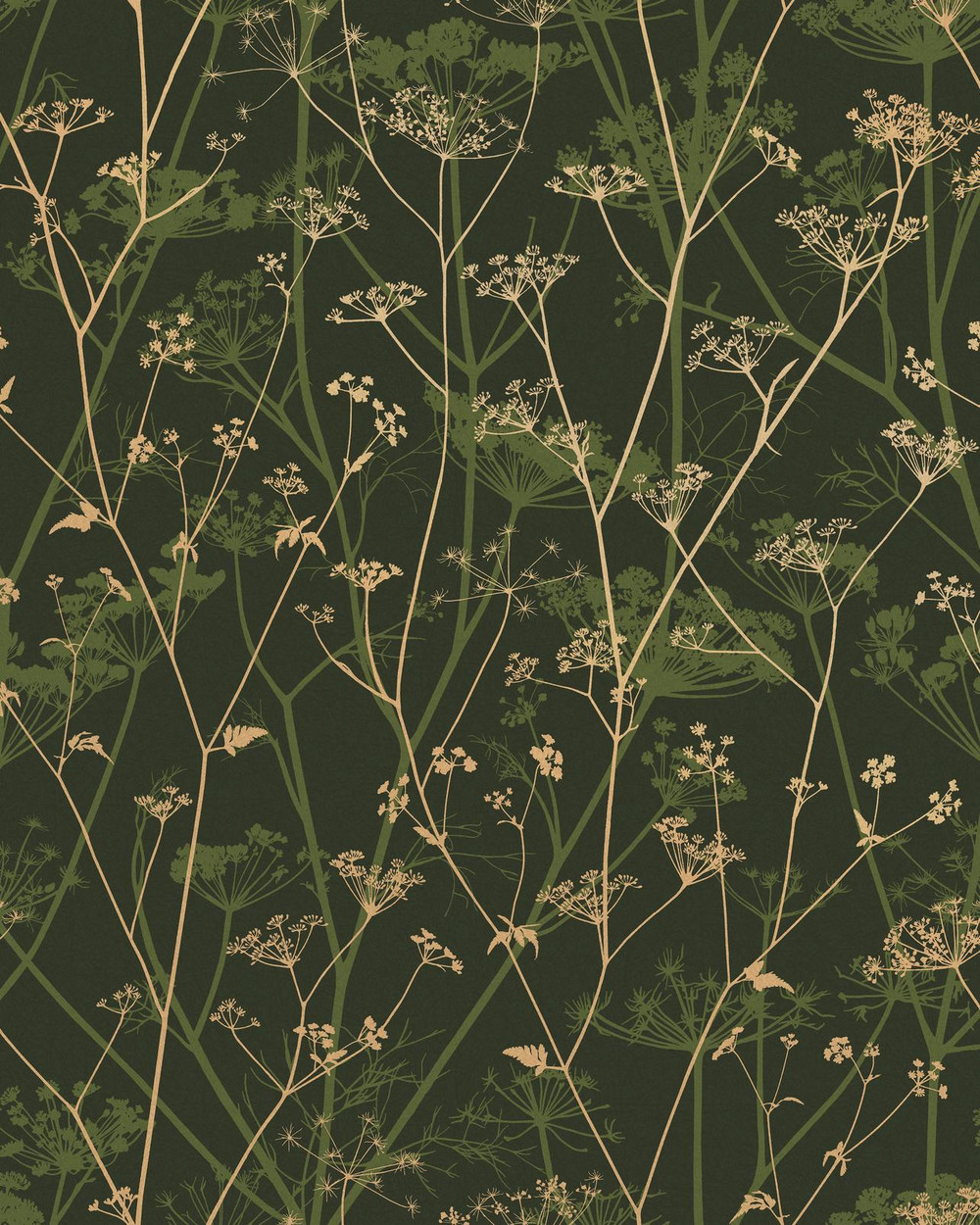 Wild Chervil Sage & Gold Wallpaper by Clarissa Hulse - 120385_TILE_01.jpg