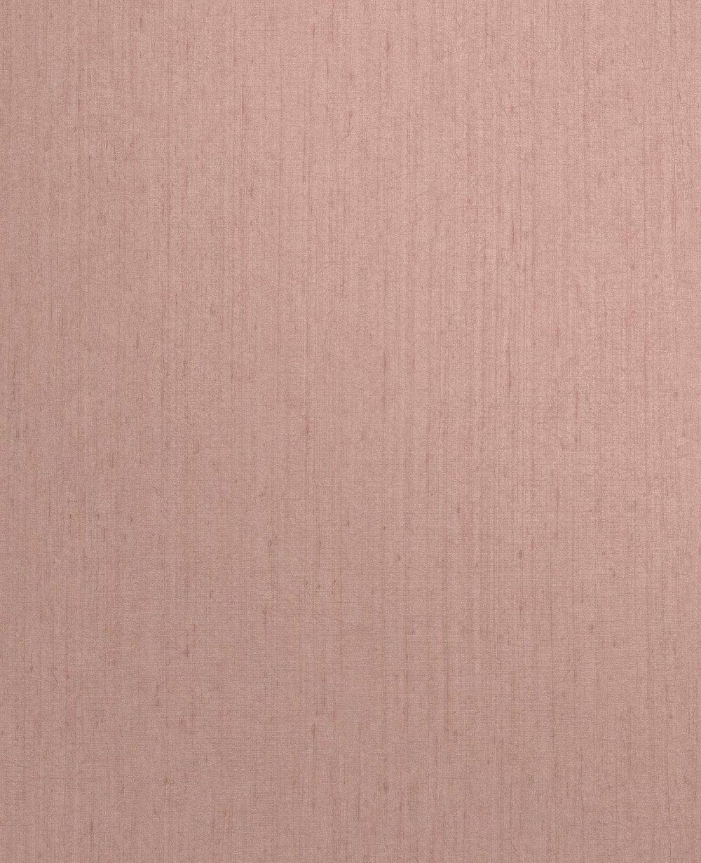 Tisbury Shell Wallpaper by Clarissa Hulse - 120374_TILE_01.jpg