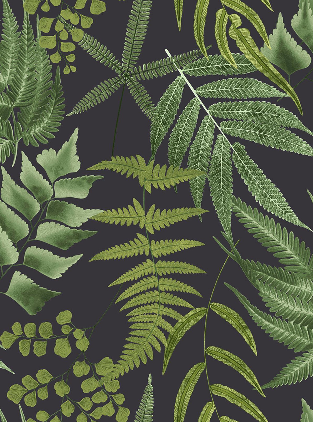 Midsummer Fern Black Wallpaper - 107879_TILE_MIDSUMMER FERN BLACK_01.jpg