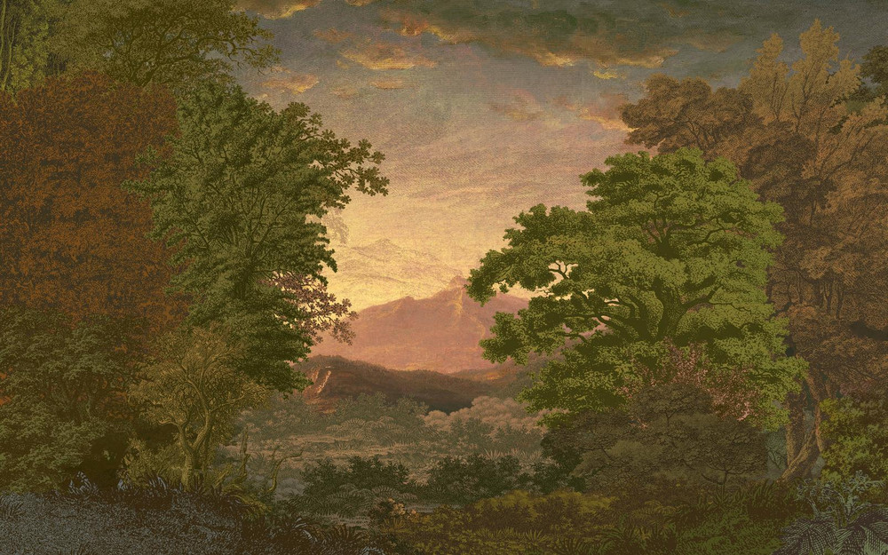 Sketch Forest Morning Bespoke Mural - 117791_TILE_01.jpg