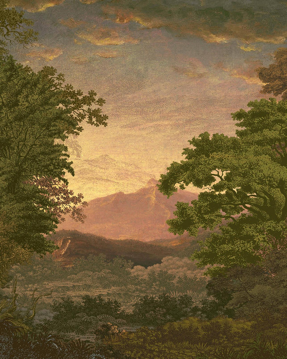 Sketch Forest Morning Bespoke Mural - 117791_TILE_01.jpg