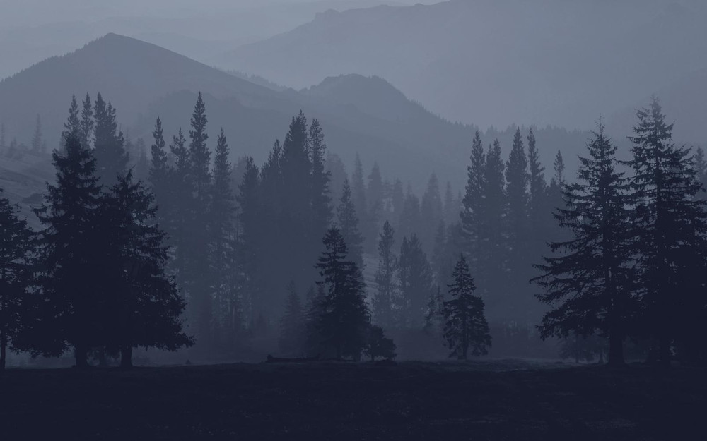 Misty Mountains Ink Bespoke Mural - 114329_MAINTILE_01.jpg