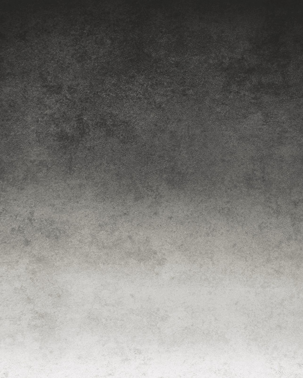 Ink Anthracite Ombre Bespoke Mural - 111873_TILE_01.jpg