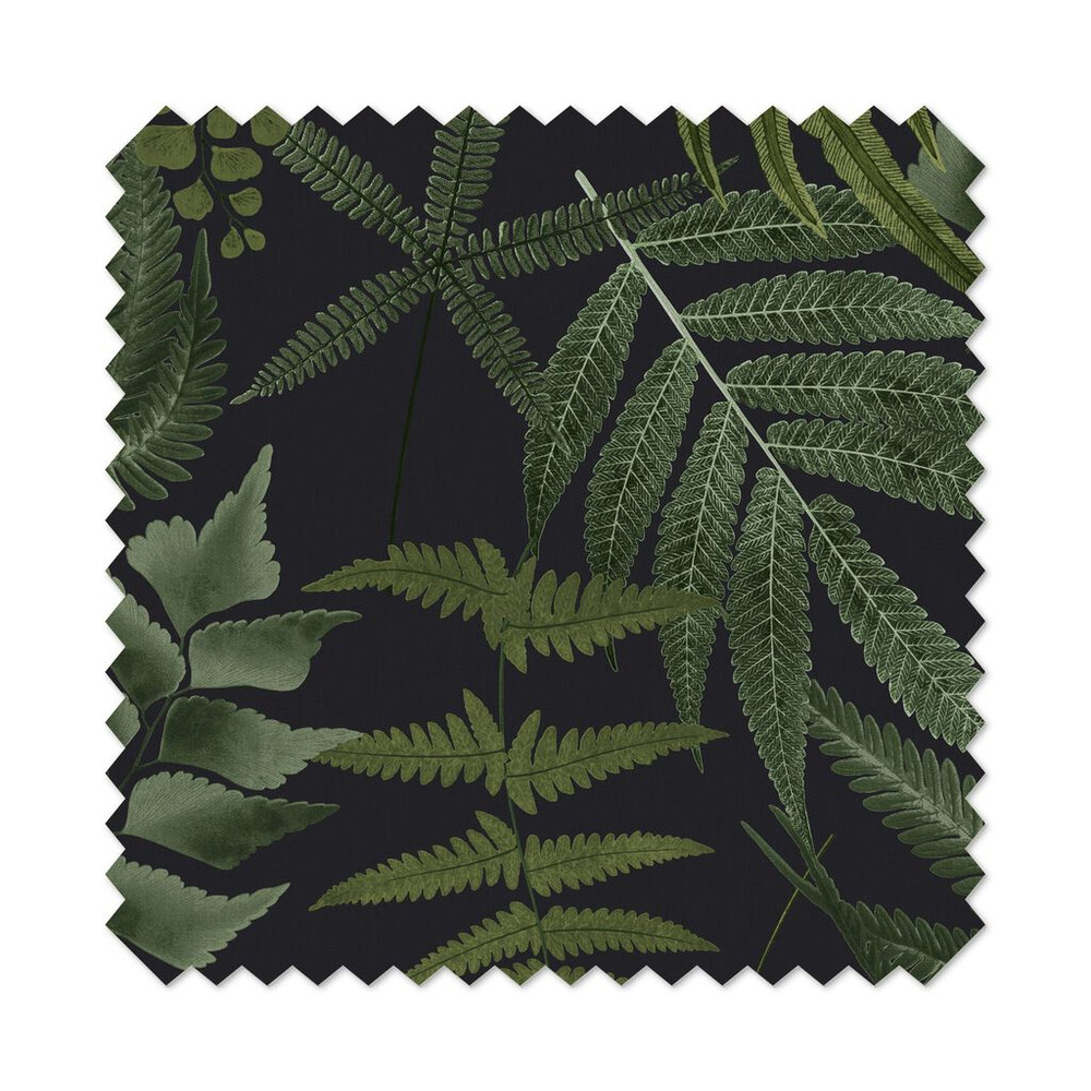 Midsummer Fern Black Sample A5