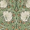 Pimpernel Green Wallpaper Pimpernel Green Wallpaper