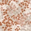 Next Forest Floor Burnt Orange Wallpaper Next Forest Floor Burnt Orange Wallpaper