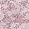 Next Forest Floor Lilac Wallpaper Next Forest Floor Lilac Wallpaper