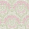 Michaelmas Daisy Pink Cedar Wallpaper Michaelmas Daisy Pink Cedar Wallpaper
