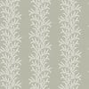 Indie Sage Wallpaper Indie Sage Wallpaper
