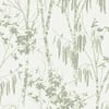 Next Luxe Fiorire Sage Wallpaper Next Luxe Fiorire Sage Wallpaper