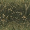 Clarissa Hulse Meadow Grass Olive Wallpaper Clarissa Hulse Meadow Grass Olive Wallpaper