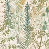 Clarissa Hulse Serendipity Sage Wallpaper Clarissa Hulse Serendipity Sage Wallpaper