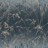 Clarissa Hulse Meadow Grass Smoke Wallpaper Clarissa Hulse Meadow Grass Smoke Wallpaper