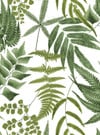 Midsummer Fern Lush Wallpaper Midsummer Fern Lush Wallpaper