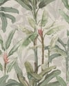 Borneo Powder Wallpaper Borneo Powder Wallpaper