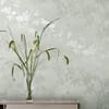 Laura Ashley Eglantine Silhouette Eau de Nil Wallpaper Laura Ashley Eglantine Silhouette Eau de Nil Wallpaper