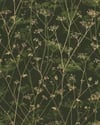 Wild Chervil Sage & Gold Wallpaper by Clarissa Hulse Wild Chervil Sage & Gold Wallpaper by Clarissa Hulse