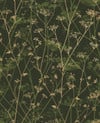 Wild Chervil Sage & Gold Wallpaper by Clarissa Hulse Wild Chervil Sage & Gold Wallpaper by Clarissa Hulse