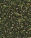 Wild Chervil Sage & Gold Wallpaper by Clarissa Hulse Wild Chervil Sage & Gold Wallpaper by Clarissa Hulse