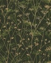 Wild Chervil Sage & Gold Wallpaper by Clarissa Hulse Wild Chervil Sage & Gold Wallpaper by Clarissa Hulse