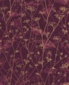 Wild Chervil Damson & Gold Wallpaper by Clarissa Hulse Wild Chervil Damson & Gold Wallpaper by Clarissa Hulse