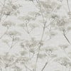 Serene Seedhead Grey Wallpaper Serene Seedhead Grey Wallpaper