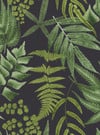 Midsummer Fern Black Wallpaper Midsummer Fern Black Wallpaper
