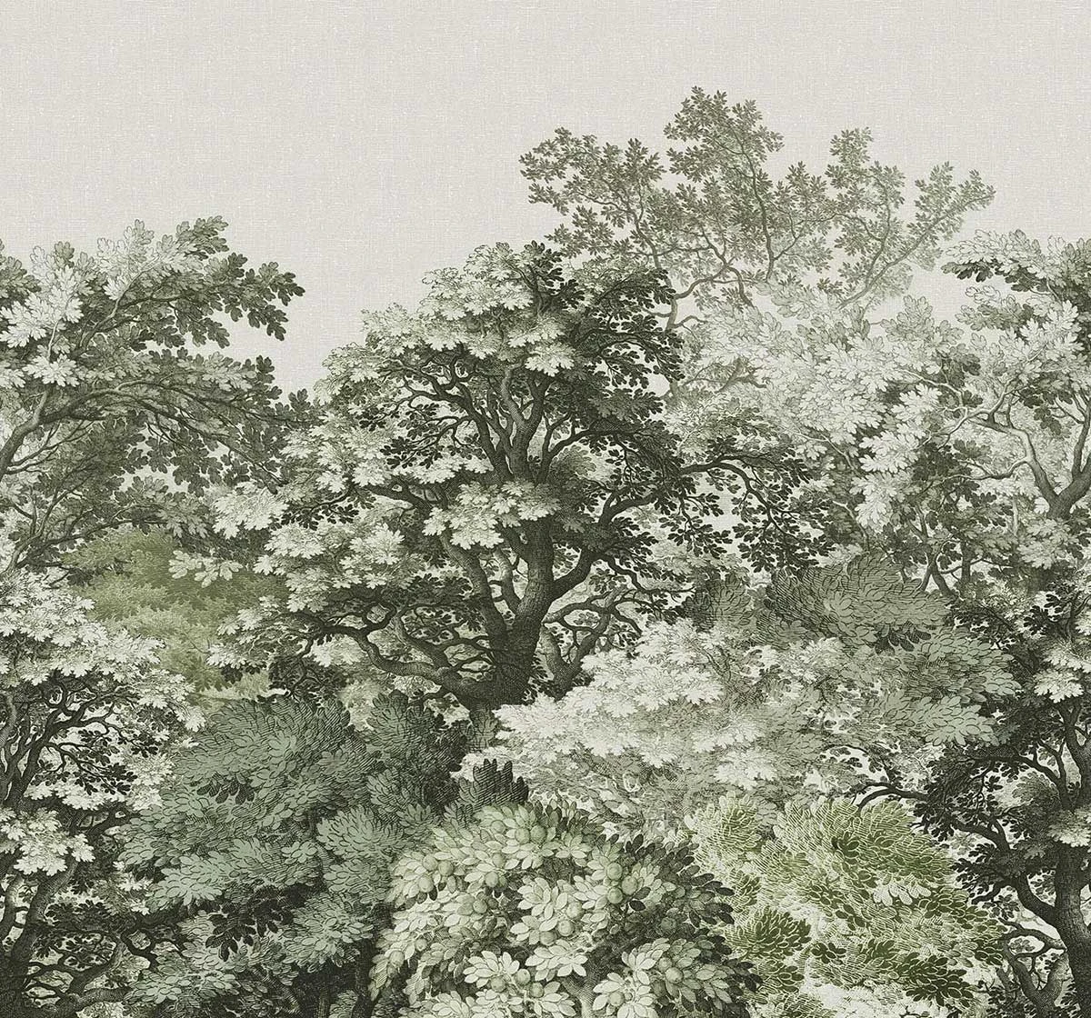 Forest Canopy Sage Bespoke Mural