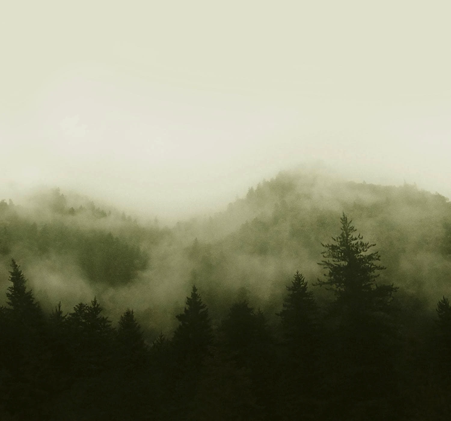 Misty Landscape Green Bespoke Mural
