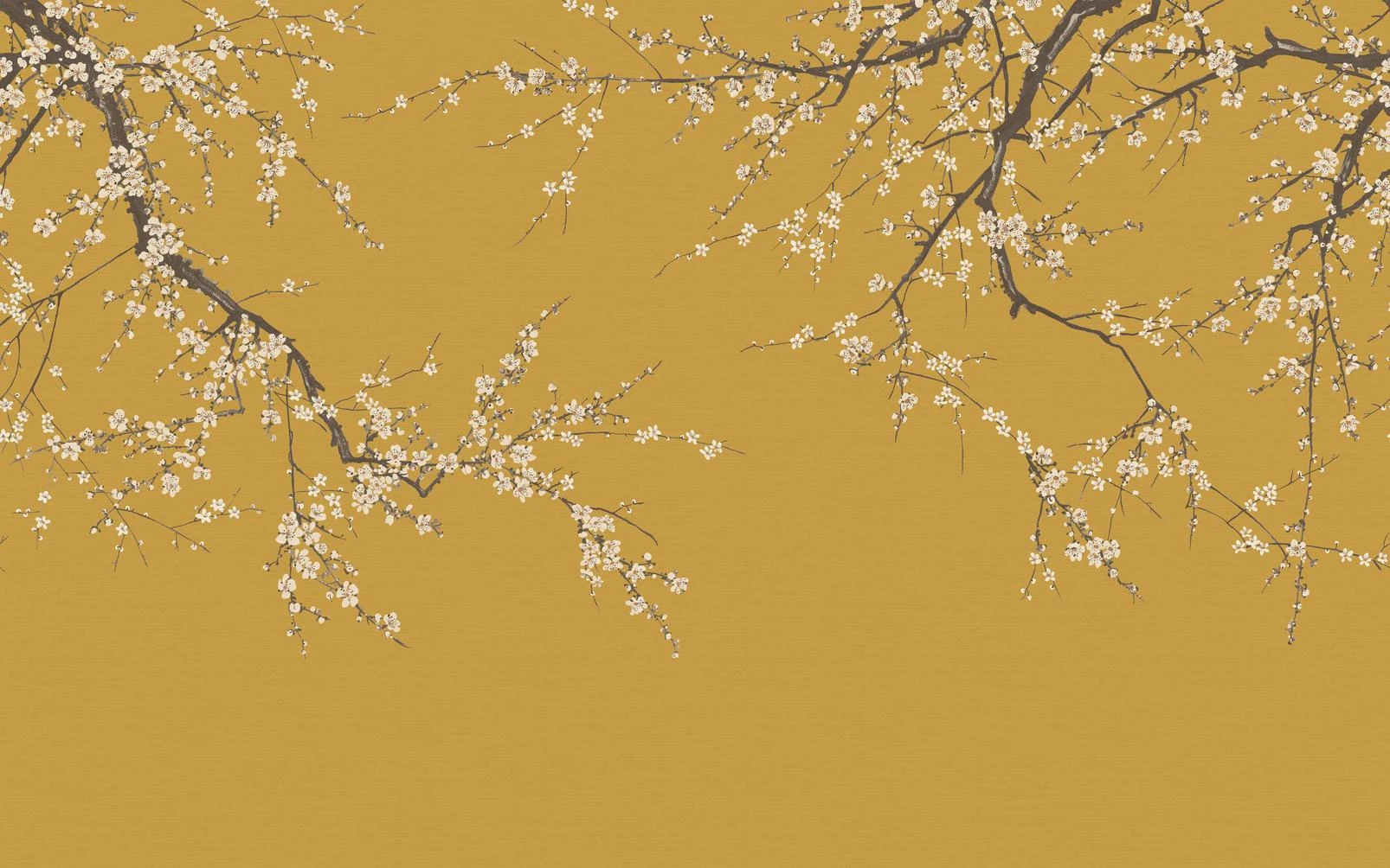 Sakura Turmeric Bespoke Mural - 122022_MAINTILE_01.jpg