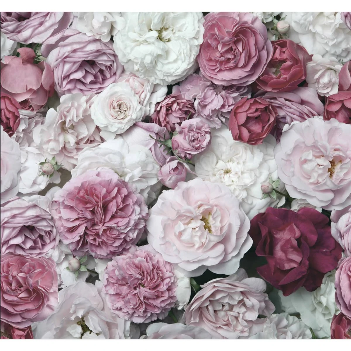 Blush Bouquet Bespoke Mural